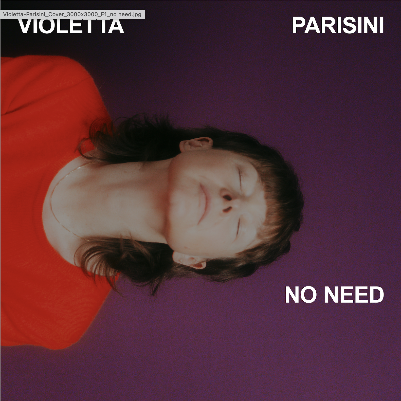 no need cover Violetta Parisini